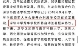 龙华网友最新爆料,揭秘背后惊人真相！