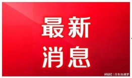 山东爆料最新消息今天