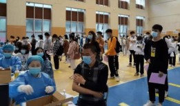 大佛爆料易阳最新消息,大佛爆料揭示惊人真相