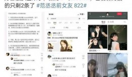 白鹿黑粉爆料视频大全最新,视频大全背后的真相与争议