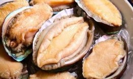 鲍鱼最新爆料视频大全,揭秘娱乐圈幕后真相